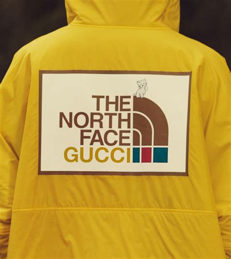 the north face gucci drop|north face Gucci collection prices.